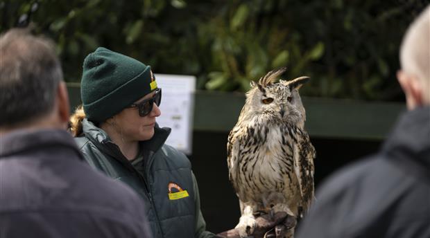 Screech Owl Sanctuary & Animal Park Picture 2