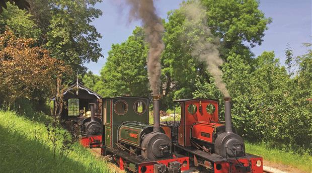 Launceston Steam Railway Picture 3