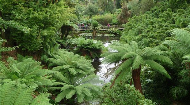 The Lost Gardens of Heligan Picture 3