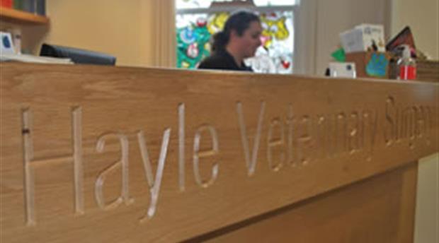 Hayle Veterinary Surgery Picture 1