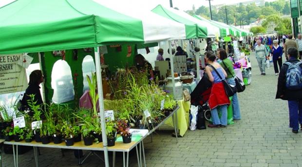 Falmouth Farmers Market Picture 1