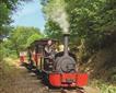Launceston Steam Railway Picture