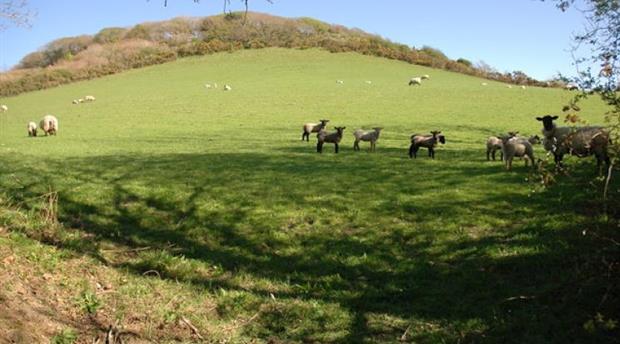 Hartlands Picture 2