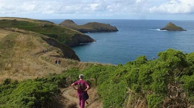 Pentire Point to Widemouth Picture 2