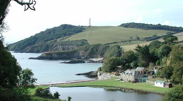 South Coast Eastern Picture 2
