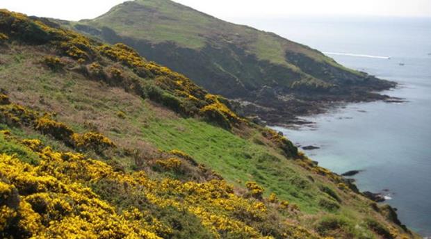 Rame Head Picture 1