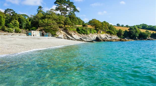 Trebah Garden Picture 3