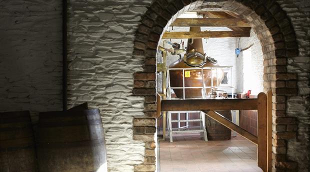 Healeys Cornish Cyder Farm Picture 4