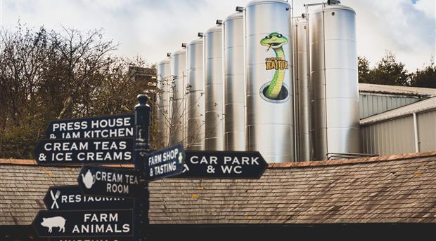 Healeys Cornish Cyder Farm Picture 8
