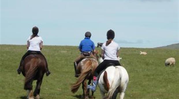 Hallagenna Riding Picture 1