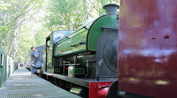Helston Railway Picture 2