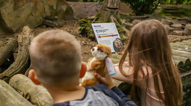 Newquay Zoo Picture 5