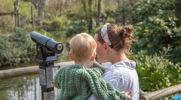 Newquay Zoo Picture 2