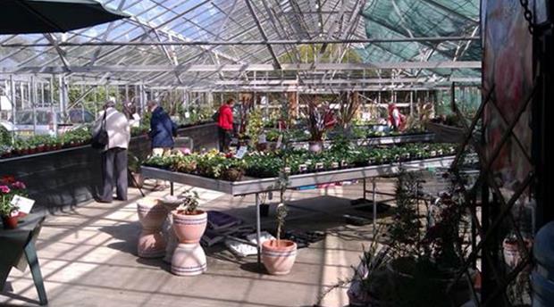 CedarCroft Plants Picture 1