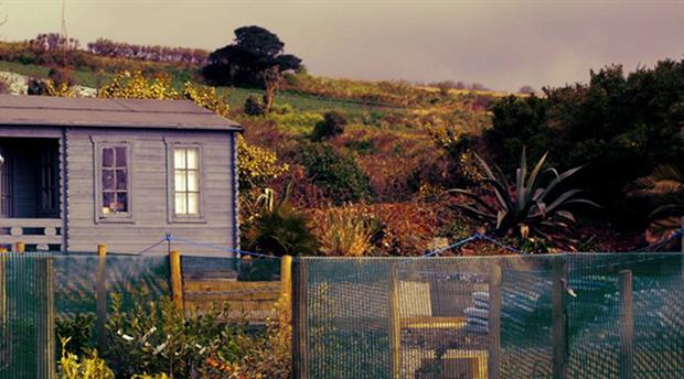 Churchtown Plant & Herb Nursery Picture 1