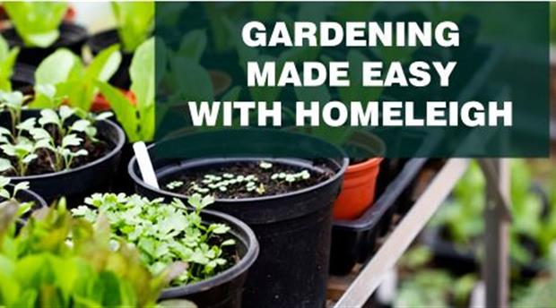 Homeleigh Garden Centre Ltd Picture 1