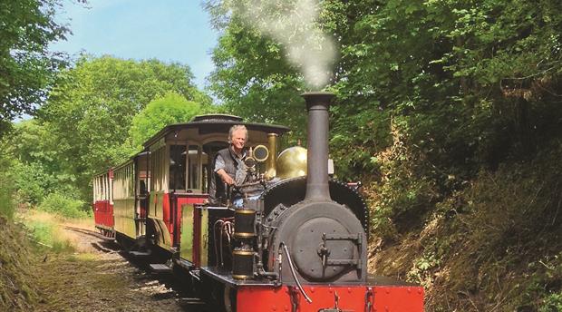 Launceston Steam Railway Picture 1