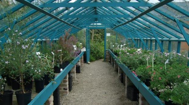 Lower Kenneggy Nurseries Picture 1