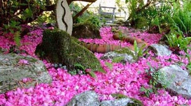 Pinsla Garden and Nursery Picture 1