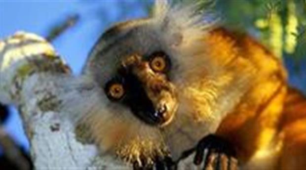 Porfell Wildlife Park Picture 1