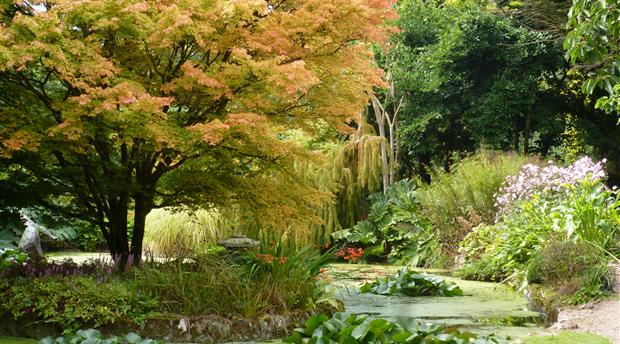 Trewidden Garden Picture 1