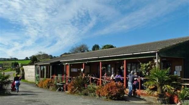 Louis Tea Room Picture 1