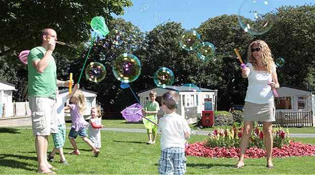 Trevella Park Picture 1