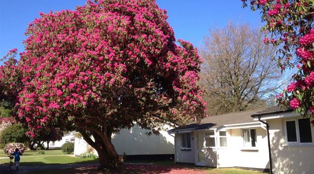 Rosecraddoc Holiday Village Picture 1