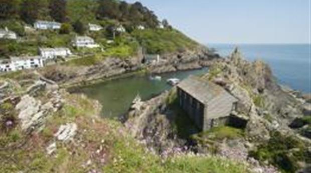 Polperro Picture 1