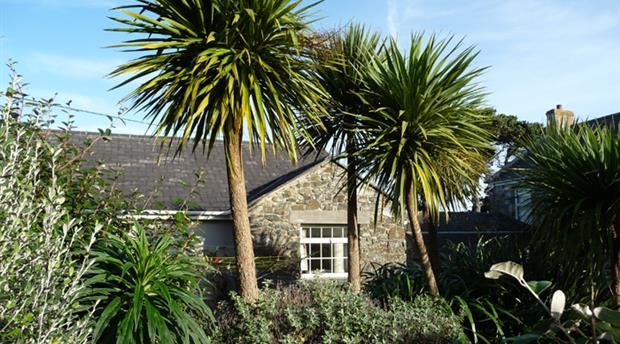 Trenance Farm Cottages Picture 2