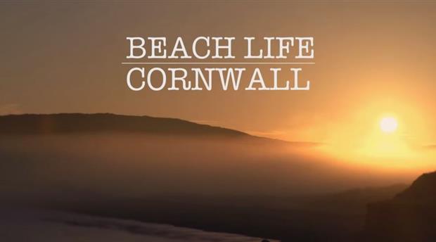 Beach Life: Cornwall Picture 1