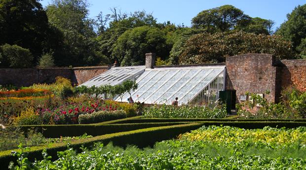The Lost Gardens of Heligan Picture 1