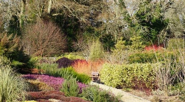 Pinetum Gardens Picture 3