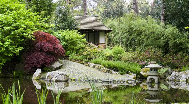 Pinetum Gardens Picture 1