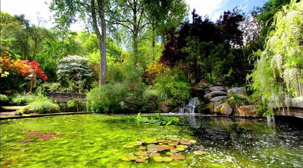 Pinetum Gardens Picture 4