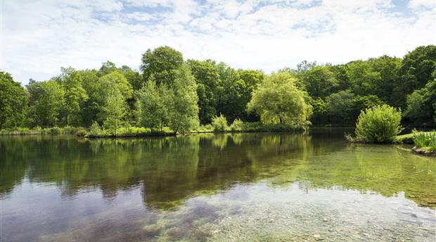 Pinetum Gardens Picture 2
