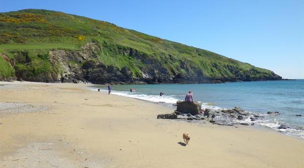 Hemmick Beach Picture 1