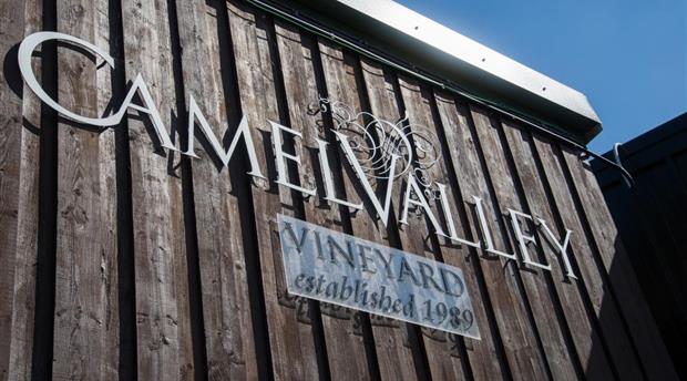 Camel Valley Vineyard Picture 2