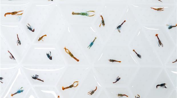 The National Lobster Hatchery Picture 1