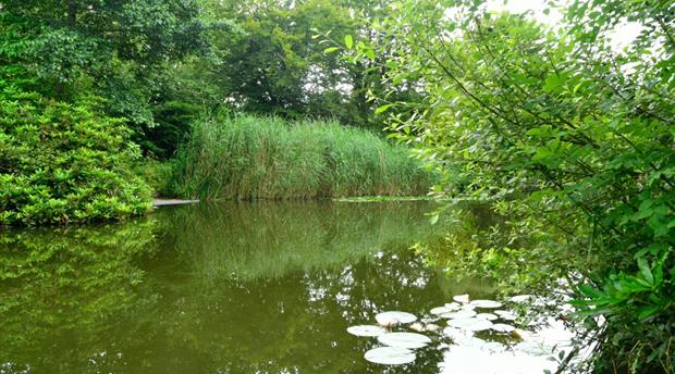 Threemilestone Angling Club Picture 2