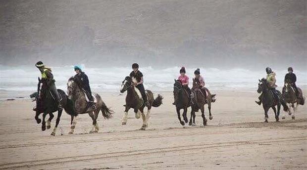 Reen Manor Riding Stables Picture 4