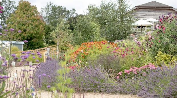 Duchy of Cornwall Nursery Picture 2