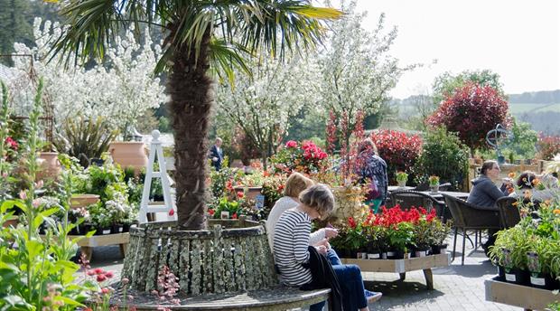 Duchy of Cornwall Nursery Picture 3