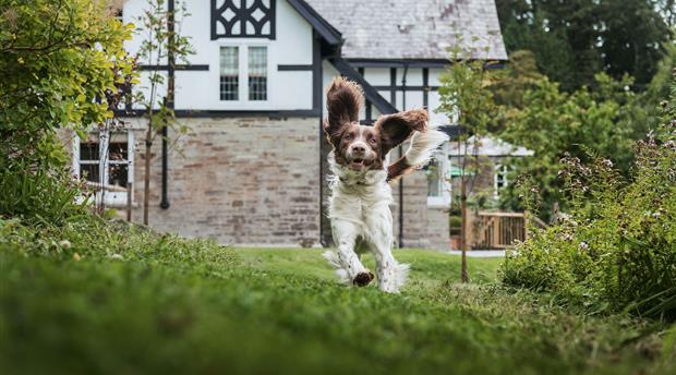 Duchy of Cornwall Holiday Cottages Picture 2