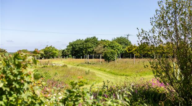 Trewena Cottages, Falmouth Picture 4