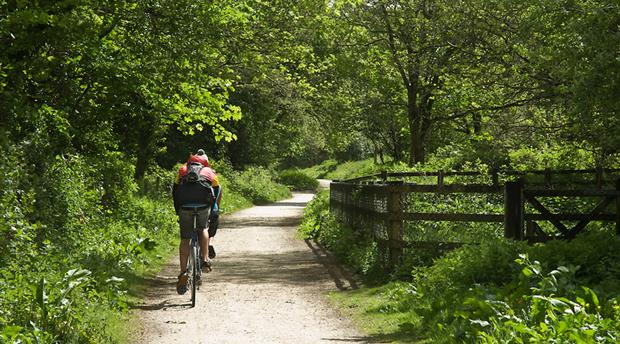 The Camel Trail - Bodmin Picture 1