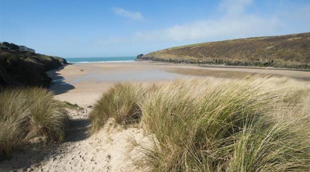 Porthcothan Bay Beach Picture 1