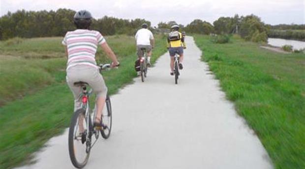 The Camel Trail - Wadebridge Picture 1