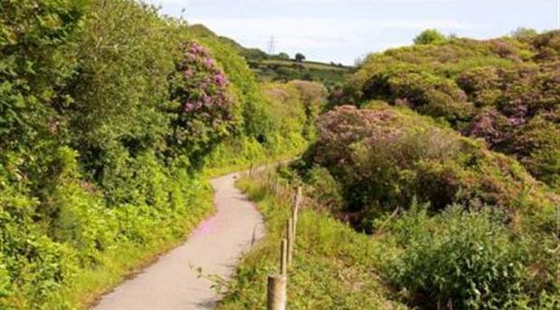 The Coast & Clay Trail  Picture 1