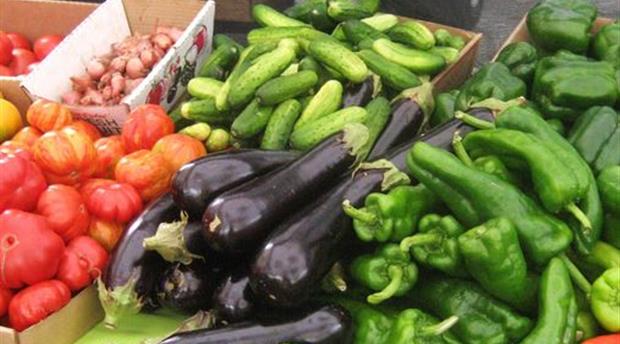 Coads Green Farmers Market Picture 1